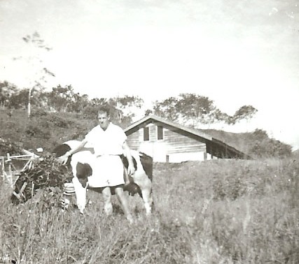 oom Engelbert met koe